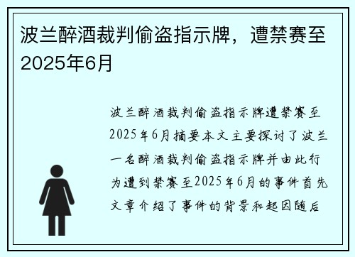 波兰醉酒裁判偷盗指示牌，遭禁赛至2025年6月